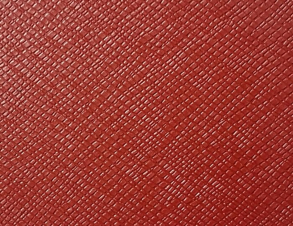 乒乓球運動地板3