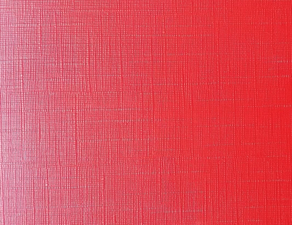 乒乓球運動地板6