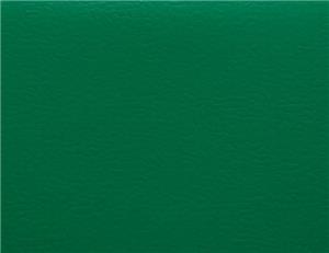 足球場(chǎng)運(yùn)動(dòng)地板04