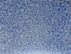 教育系統(tǒng)pvc地板005